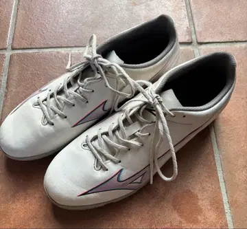 미즈노 트레이닝화 27.0cm