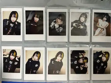 지메이 여명 상어 와나 폴라로이드