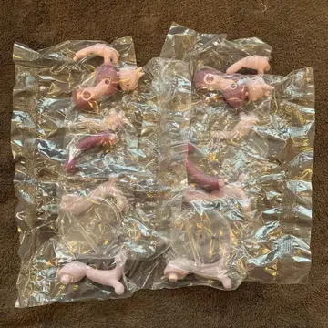 조립 가동! 메가 뮤우츠 X 2체 세트