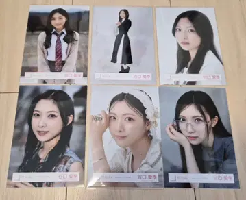 사쿠라자카46 브로마이드 타니구치 아이리 묶음 판매 여름의 지름길