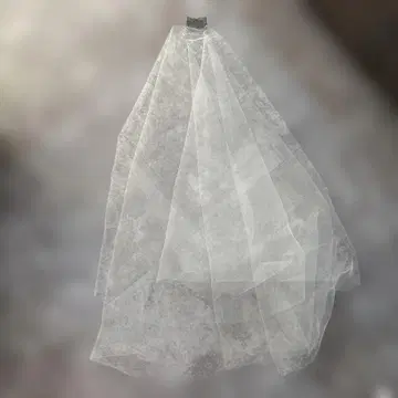 웨딩 베일