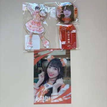 코구마 마무 세트