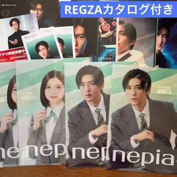 네피아 메구로 렌 클리어 파일 REGZA 카탈로그 리플렛