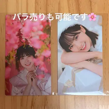 사쿠콜렉션 카드 엔도 리코 2장 세트