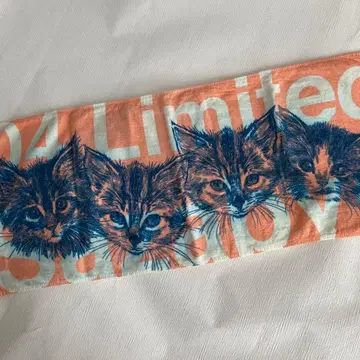 포리미 고양이 타월 04