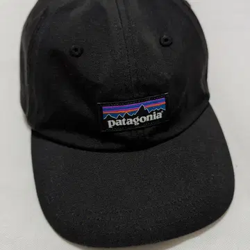 파타고니아 블랙 캡