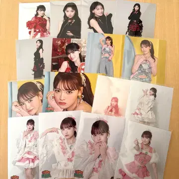 이기가리 도호쿠산 다테 하나 생 브로마이드 세트