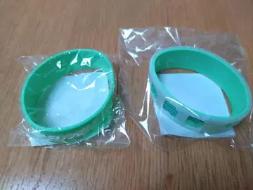 봇치 더 록! 투어 we will b 러버 밴드