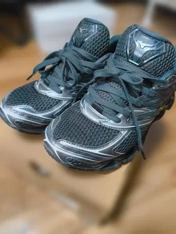 Mizuno WAVE PROPHECY LS 27.0 cm