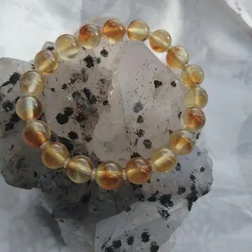 골든 플로라이트 15cm 8mm