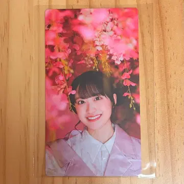 사쿠콜레 카드 무라이 유우