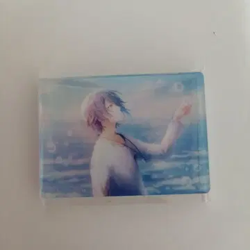 프로세카 노블 아트 루이 프로젝트 세카이