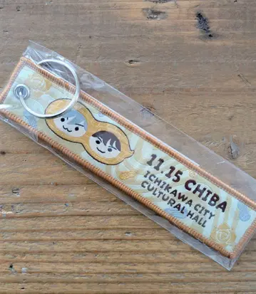 access 2025 가을/겨울 투어 플라이트 택 치바