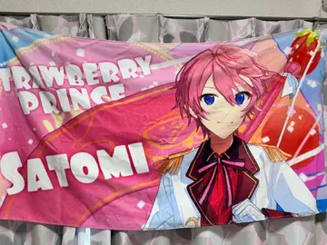 스토푸리 사토미군 타월