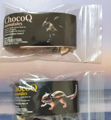 ChocoQ animatales 일본 다람쥐 조선 다람쥐