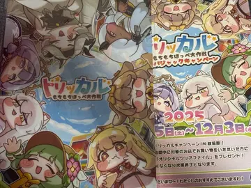 트릿칼 A4 클리어 파일 플라이어 아키하바라