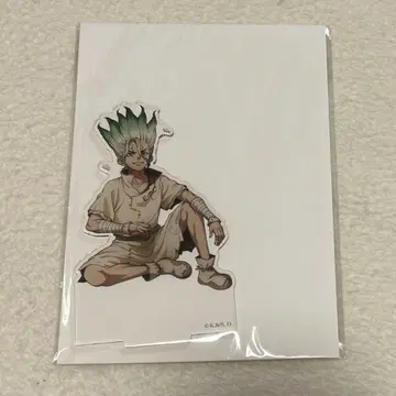 Dr.STONE 꽃놀이 아크릴 스탠드 센쿠