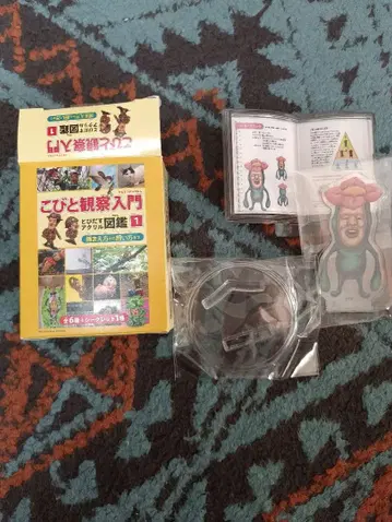 코비토즈칸 토비다스 아크릴 도감 리틀 하나가시라