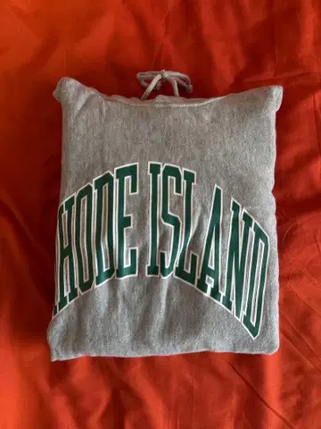 챔피언 리버스 위브 M 그레이 후드티