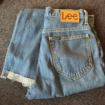 Lee 데님 스키니