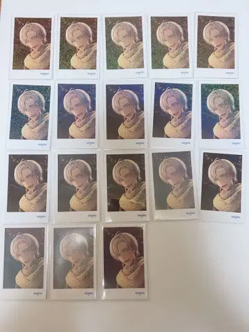 이 브라 폴라로이드 세트