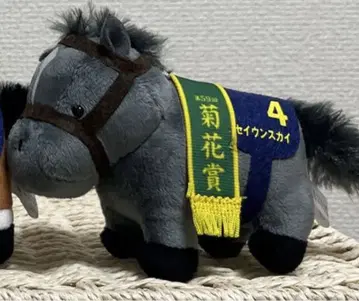 국화상마 세이운 스카이 서러브레드 컬렉션