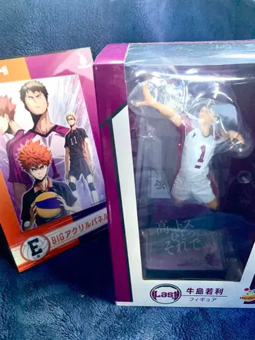 하이큐 happy 복권 라스트 원 우시지마 와카토시 피규어, 덤