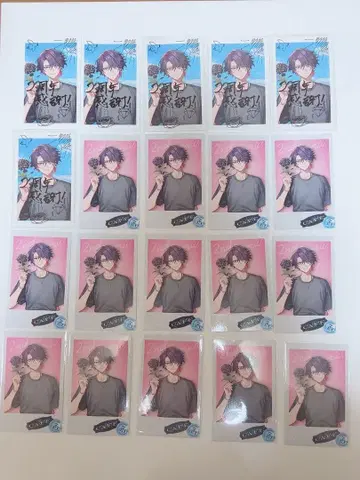 와타라이 히바리 폴라로이드 세트