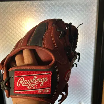 Rawlings 그로브