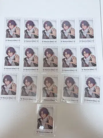 와타라이 히바리 폴라로이드 세트