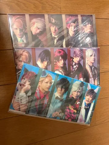 에이스테 필름 컬렉션 티켓 케이스 봄조