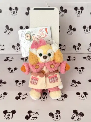 쿠키앤 인형 배지 시크릿 오브 스노우위 데이