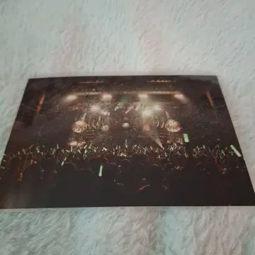 하츠네 미쿠 미쿠 엑스포 MIKUexpo 라이브 포토 사진