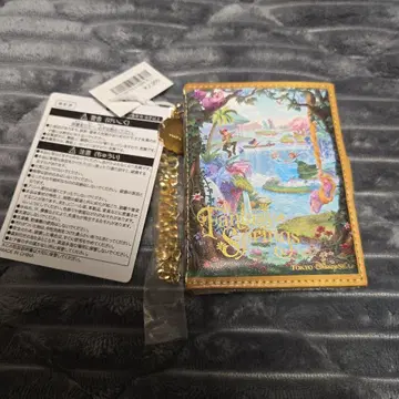 판타지 스프링스 팬다풀 한정판 패스 케이스