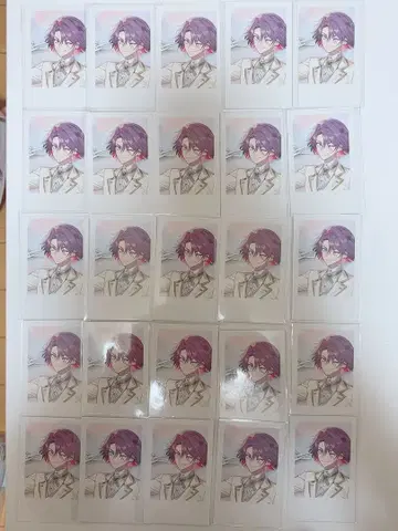 와타라이 히바리 폴라로이드 세트