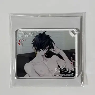 슬로우 데미지 슬로데미 스텔라워스 아크릴 플레이트 토와C