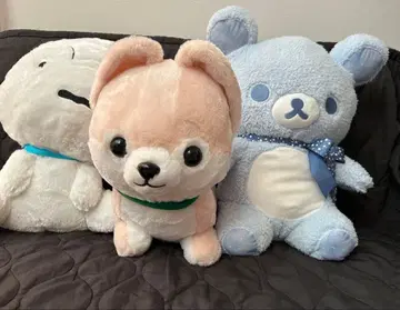 리락쿠마, 시로, 콩 시바 봉제 인형 세트