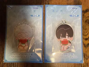 빛이 죽은 여름 아크릴 키체인 수박