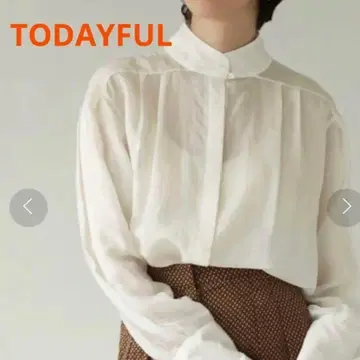 TODAYFUL 스탠드 카라 오간자 블라우스 화이트 시어