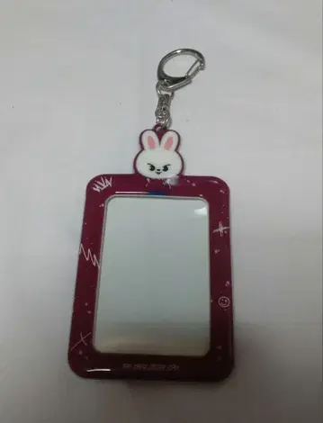 Stray Kids 트레이딩 카드 케이스 Leebit