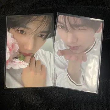 ZB1 유진 트레이딩 카드