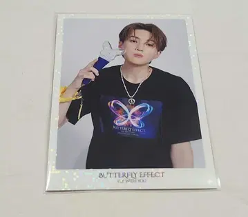 야기 유세이 포토 카드 BUTTERFLY EFFECT