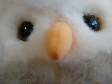 네이처 랜드 올빼미 ALFA 봉제 인형