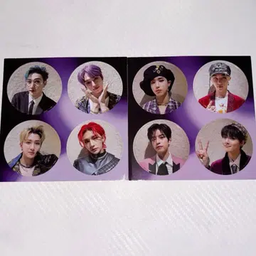 Straykids ODDINARY 주얼 케이스 사진 배지 멤버 세트