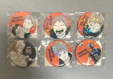 하이큐!! 올캔 올스타 캔뱃지 V.HEROES 히나타 쇼요