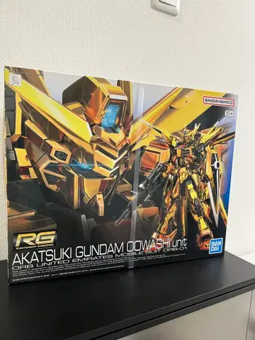RG 1/144 아카츠키 건담 (오오와시 장비)