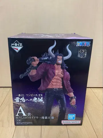 원피스 제일복권 뇌명에 대한 충성 A상 카이도