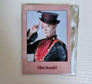 앙스테 앙스타 BM 보답제 폴라로이드풍 카드 소 발키리