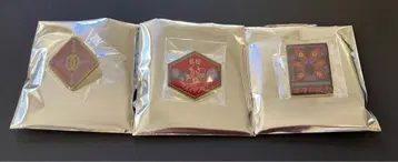 핀 배지 세트 3개