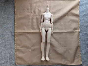 중고 보크스 MDD MDD3 베이스 바디 프레쉬 스킨 핸드 파츠 없음